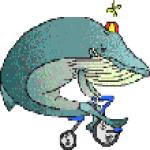Gif Baleine Fait Du Vélo