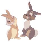 Gif Pan Pan Et Miss Bunny