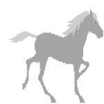 Gif Cheval Galop
