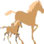 Gif Chevaux Galopent