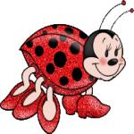 Gif Coccinelle 006