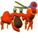 Gif Crabe Avec Des Ciseaux