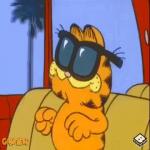 Gif Garfield lunettes de soleil