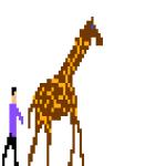 Gif Girafe Soigneur