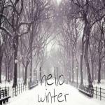 Gif Hello Winter
