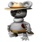 Gif Koala