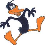 Gif Daffy Duck 3