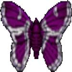 Gif Papillon Blanc Violet