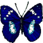 Gif Papillon Bleu