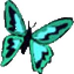 Gif Papillon Turquoise