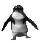 Gif Pingouin 2