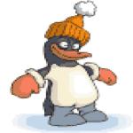 Gif Pingouin Avec Un Bonnet Et Des Gants