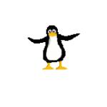 Gif Pingouin Pirouette