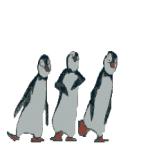 Gif Trio Pingouins