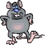 Gif Rat