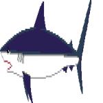 Gif Requin 6