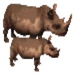 Gif Rhinoceros Et Son Petit 2