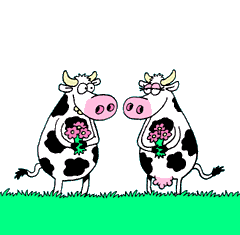 Gif Vache Image Vache Et Animation Vache